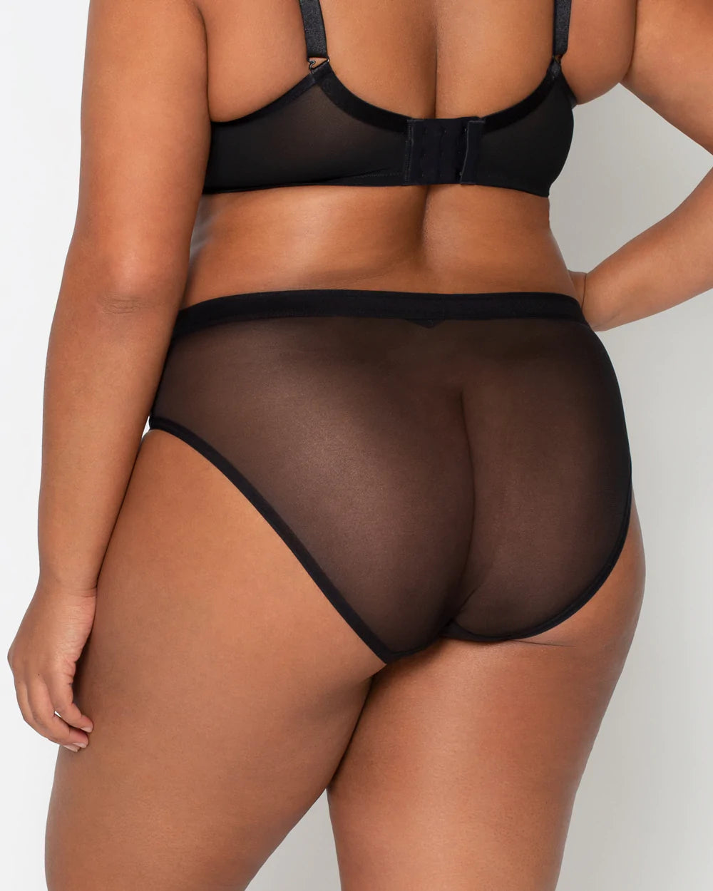 Curvy Couture Mesh High Cut Brief