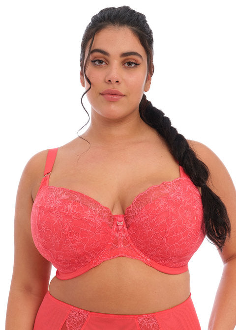 Brianna Uw Padded Half Cup Bra-34