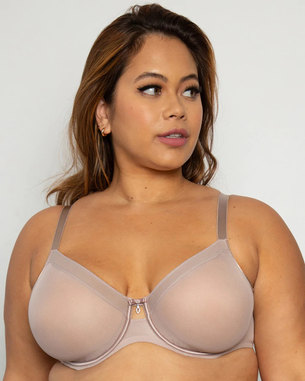 Sheer Mesh Unlined Underwire Bra-36