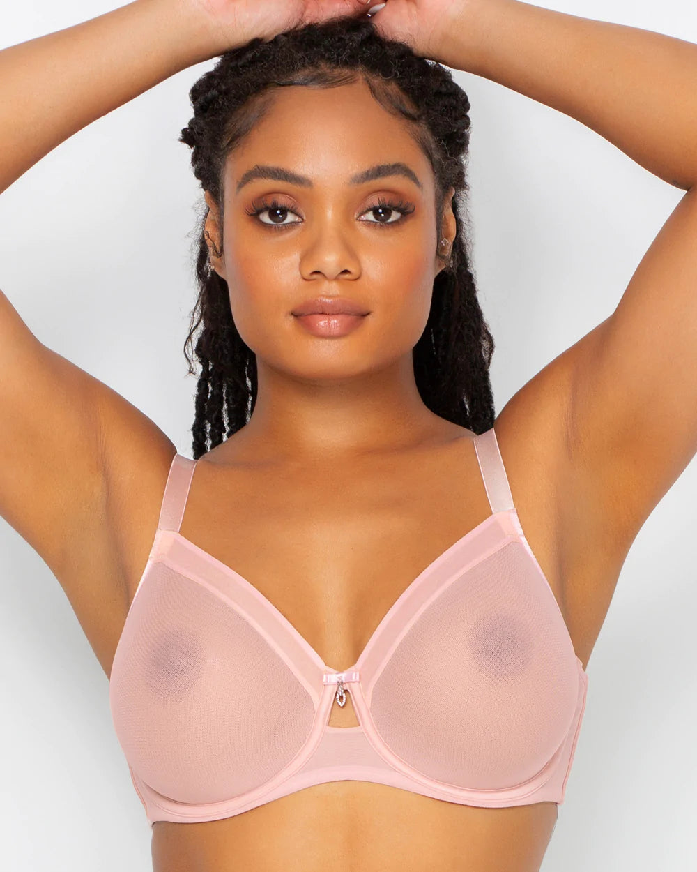 Sheer Mesh Unlined Underwire Bra