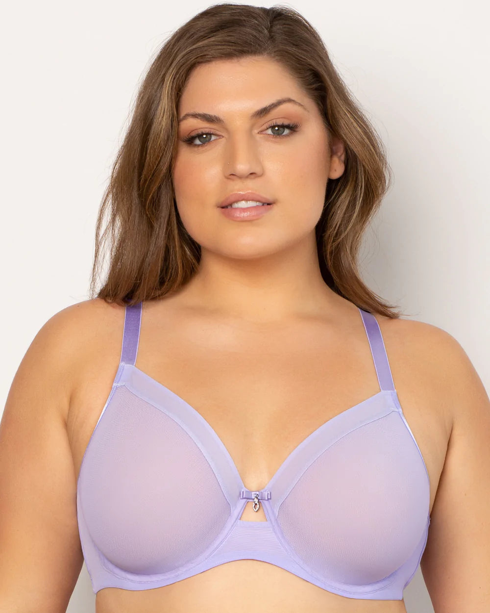 Sheer Mesh Unlined Underwire Bra